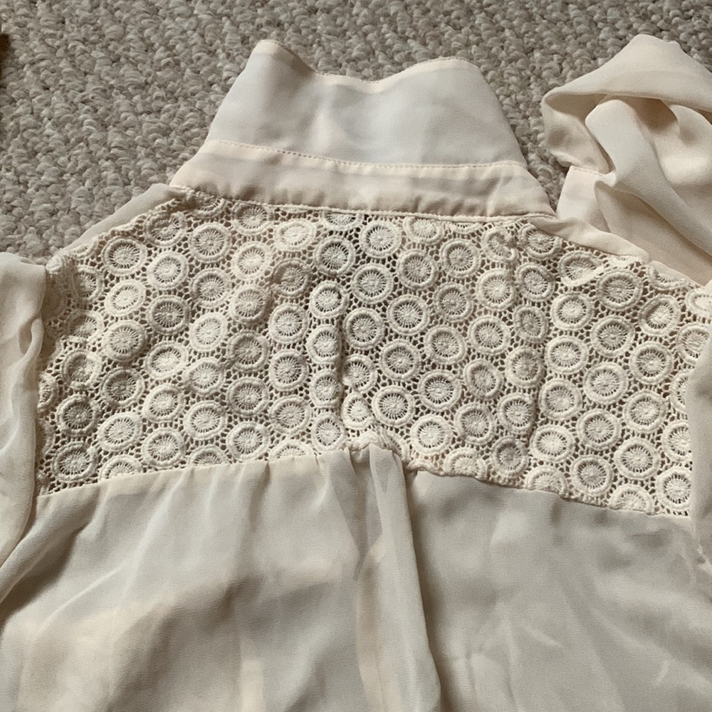 Sheer Blouse - Picture 4 of 4